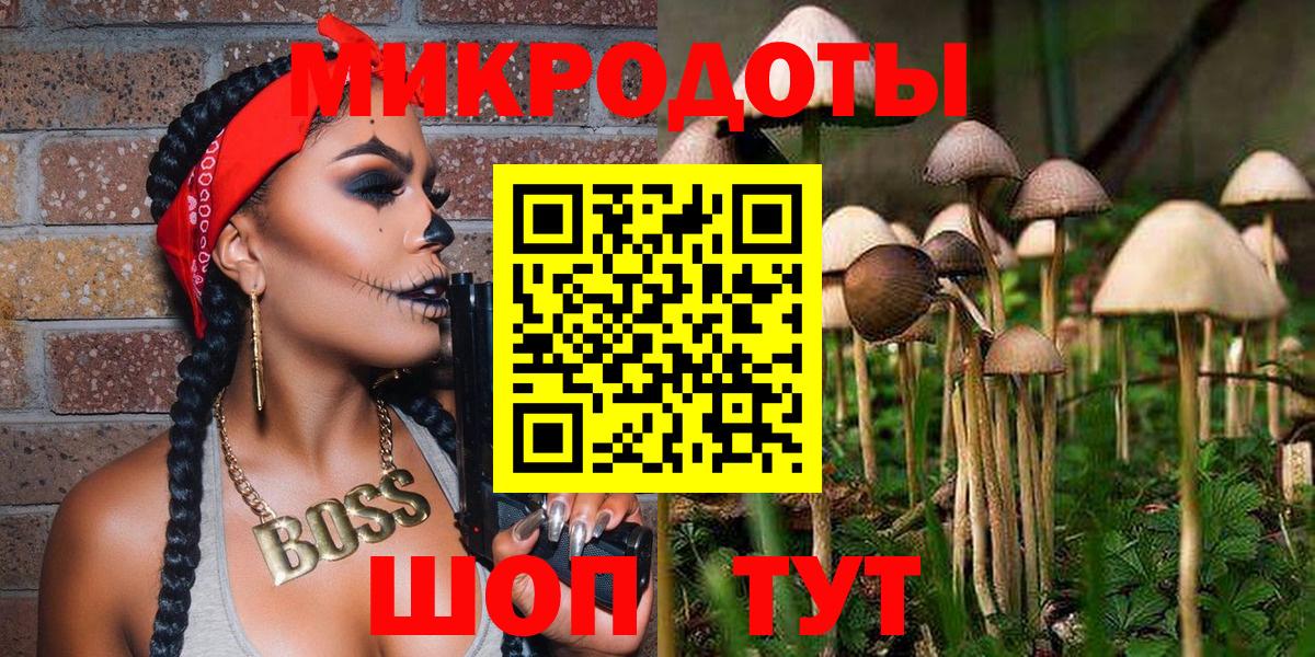 Магадан  Псилоцибиновые грибы Psilocybine cubensis  Вход с VPN  Псилоцибиновые грибы мицелий 