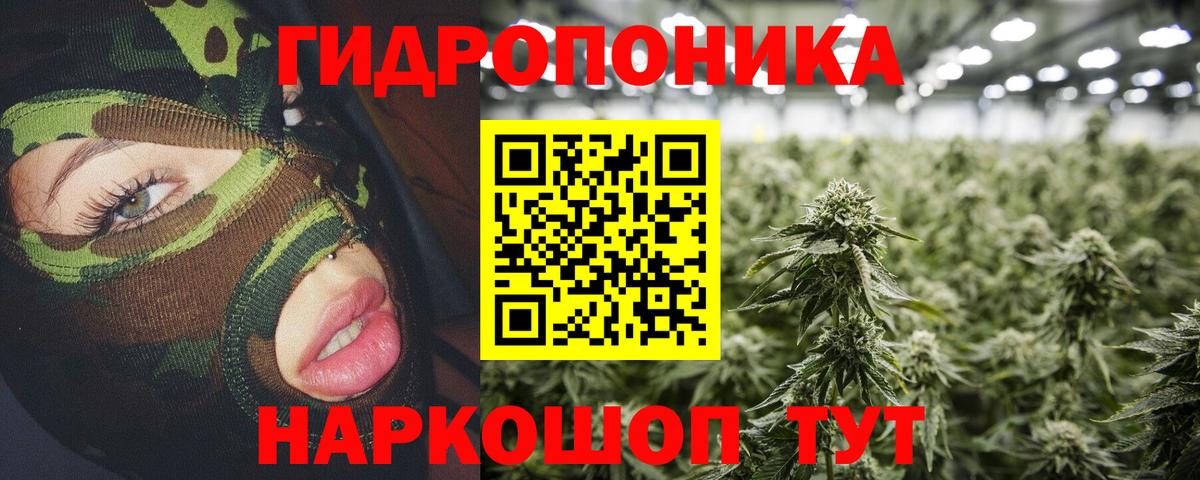 Бошки марихуана марихуана Магадан